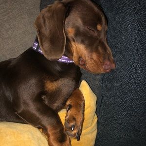 Meet your Posher, Beth